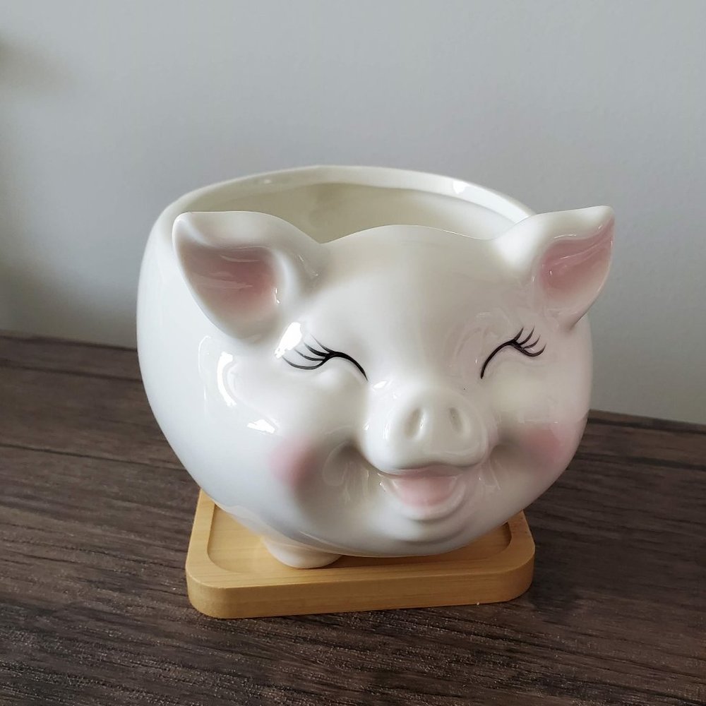Pig Planter, White Pig Plant Pot, Ceramic Animal Planter, Succulent Planter, 6"